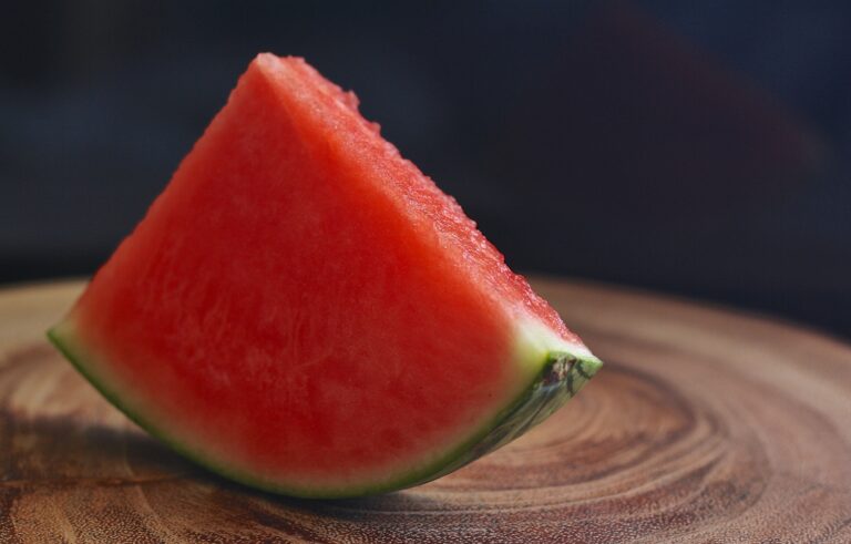 Can My Dog Eat Watermelon? – 2023