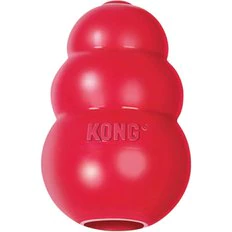 kong chew toy